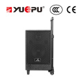 Portable PA Speaker with SD, USB and Two Wireless Mics